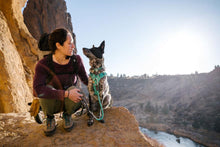 Load image into Gallery viewer, Knot-a-Long Leash