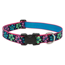 Load image into Gallery viewer, Lupine 1” Wide Dog Collars