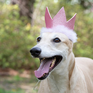 Huxley and Kent Pawty Crowns