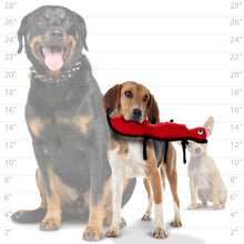 Load image into Gallery viewer, Tuffy’s Desert Collection