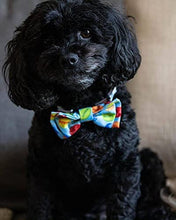 Load image into Gallery viewer, Huxley and Kent Party Time Blue Bow tie
