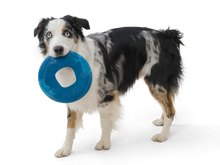 Load image into Gallery viewer, West Paw Seaflex Sailz