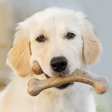 Load image into Gallery viewer, Bacon Flavor Puppy Wishbone Benebone