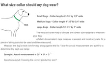 Load image into Gallery viewer, ECO by Lupine 1/2” Collars