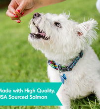 Load image into Gallery viewer, Dogswell Skin & Coat Jerky (Wild Caught Salmon)