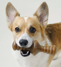 Load image into Gallery viewer, Benebone Zaggler