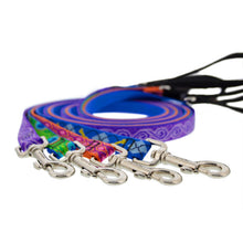 Load image into Gallery viewer, Lupine 1” Wide Leashes