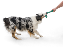 Load image into Gallery viewer, West Paw SeaFlex Snorkl