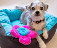 Load image into Gallery viewer, Cycle Dog DuraPlush Flower Puppy Pack
