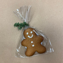 Load image into Gallery viewer, Ginger Pals