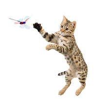 Load image into Gallery viewer, Rompi Catz Critter