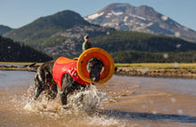 Load image into Gallery viewer, Hydro Plane Floating Disc Toy