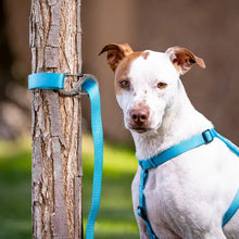 Load image into Gallery viewer, SlideLock Pet S-Biner