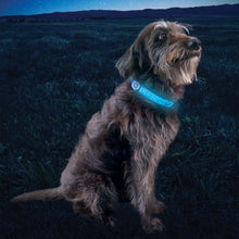 Load image into Gallery viewer, NiteDog Disc-o Select LED Collar Cover
