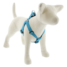 Load image into Gallery viewer, Lupine ECO 1” Step-In Harness
