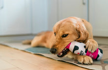 Load image into Gallery viewer, P.L.A.Y x Cabot Creamery Woofed Cream Can
