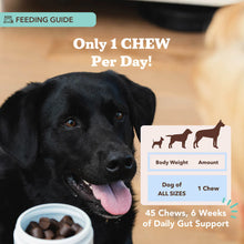Load image into Gallery viewer, Gut Health and Digestion Dog Probiotics
