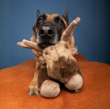 Load image into Gallery viewer, Trax Moose
