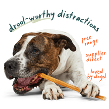 Load image into Gallery viewer, BullySafe Chews Pure Collagen
