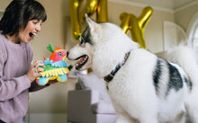 Load image into Gallery viewer, Party Animals
