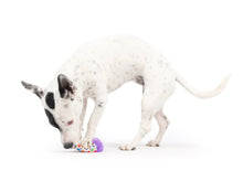 Load image into Gallery viewer, Tiny Tuff Polka Dot Party Hat
