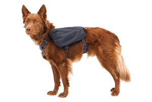 Front Range Dog Day Pack