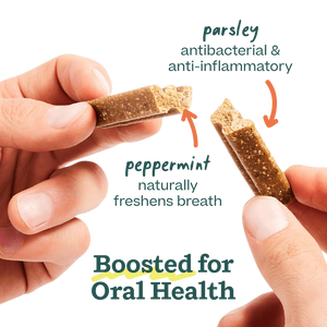 Bite n’ Brush refills