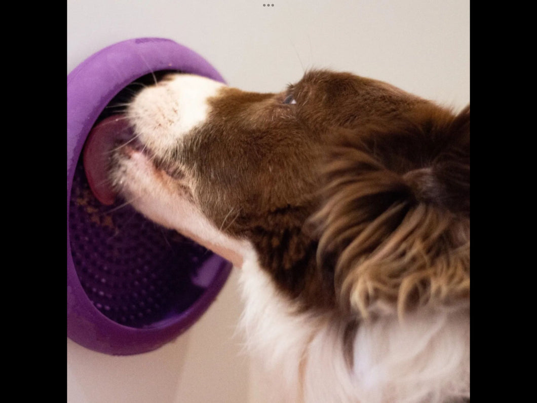 LickiMat Dog Mats