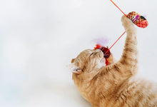 Load image into Gallery viewer, Feline Frenzy Wand Toy
