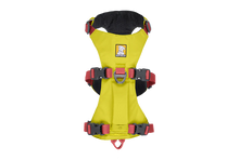 Load image into Gallery viewer, Flagline Dog Harness
