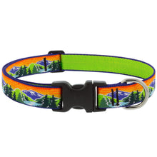 Load image into Gallery viewer, Lupine 1” Wide Dog Collars
