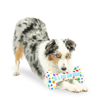 Load image into Gallery viewer, It’s my Barkday Bone
