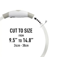 Load image into Gallery viewer, NiteMeow Disc-o-Select LED Safety Necklace
