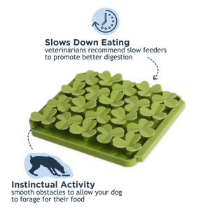 Foraging Mat