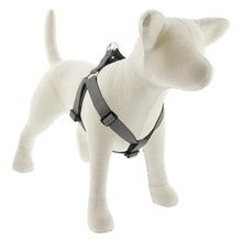 Load image into Gallery viewer, Lupine ECO 1” Step-In Harness
