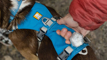 Load image into Gallery viewer, Flagline Dog Harness
