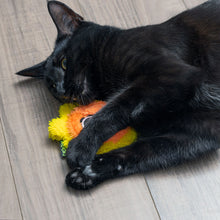 Load image into Gallery viewer, Duraplush Cat Sunshine
