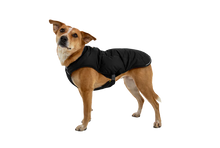 Load image into Gallery viewer, Quinzee Insulated Jacket
