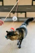 Load image into Gallery viewer, Fog City Pet x Feline Frenzy Roll with it wand
