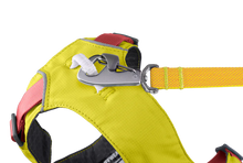Load image into Gallery viewer, Flagline Dog Harness
