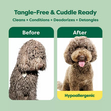 Load image into Gallery viewer, Detangling Hypoallergenic Dog Shampoo
