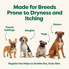 Load image into Gallery viewer, Soothing Hypoallergenic Dog Shampoo
