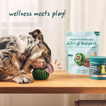 Load image into Gallery viewer, Pupsicle Refills for Allergy Support
