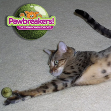 Load image into Gallery viewer, Bonkas by Pawbreakers - Catnip Candy Toy
