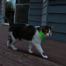 Load image into Gallery viewer, NiteMeow Disc-o-Select LED Safety Necklace
