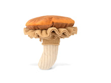 Load image into Gallery viewer, Fog City Pet x P.L.A.Y. Fun-guy Mushroom
