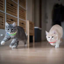 Load image into Gallery viewer, NiteMeow Disc-o-Select LED Safety Necklace
