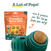 Load image into Gallery viewer, Woof Pumpkin Spice Mix
