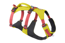 Load image into Gallery viewer, Flagline Dog Harness
