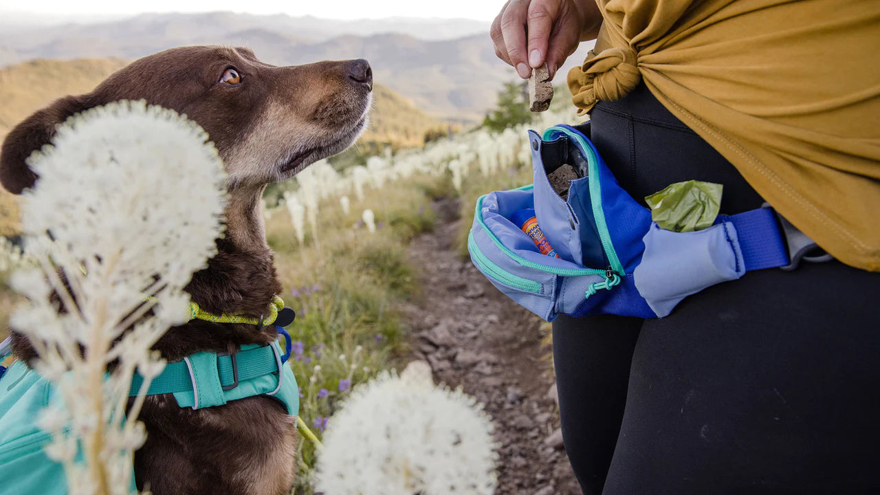 Home Trail Hip Pack – River Dog Bakery Home Trail Hip Pack – River Dog Bakery